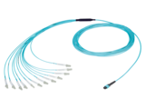 Breakout Cable -NKOB12M-A-0-1